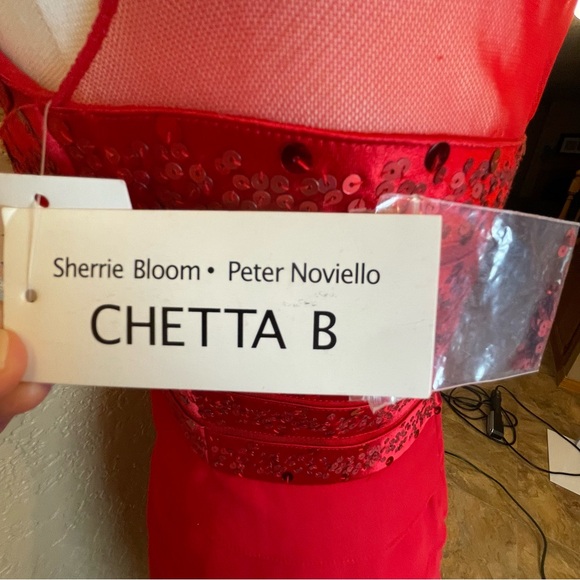 NWT Sherrie Bloom Peter Noviello CHETTA B 100% Silk Red Dress Size 4 - Picture 13 of 13